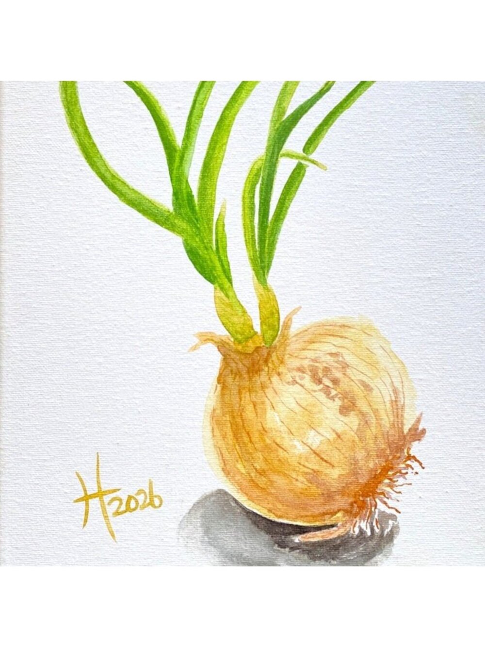 Sprouting Onion 3 Art Original Watercolor Painting on Canvas 9x12in